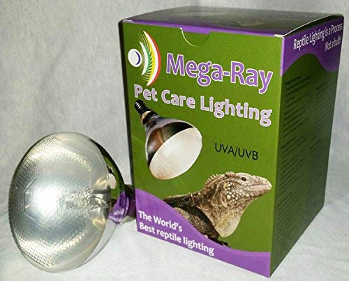 Self Ballasted Mega-Ray Mercury Vapor Bulb 100 Watts (120V 70